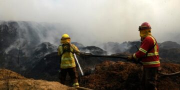 incendio forestal Quilpué Los Molles