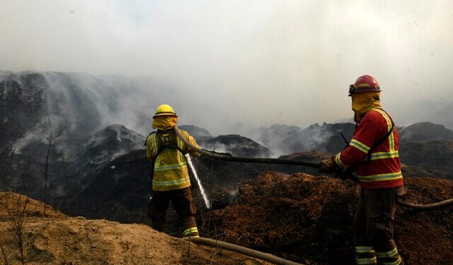 incendio forestal Quilpué Los Molles